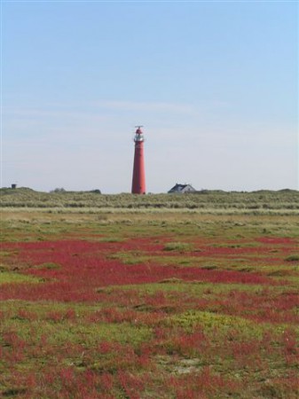 Het groene strand